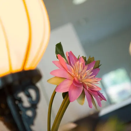 Hotel Good Morning West 3*